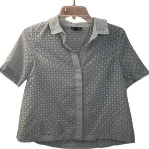 TopShop Sheer Blouse